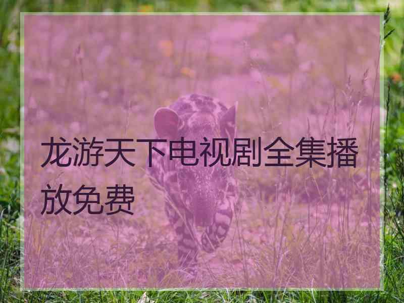 龙游天下电视剧全集播放免费