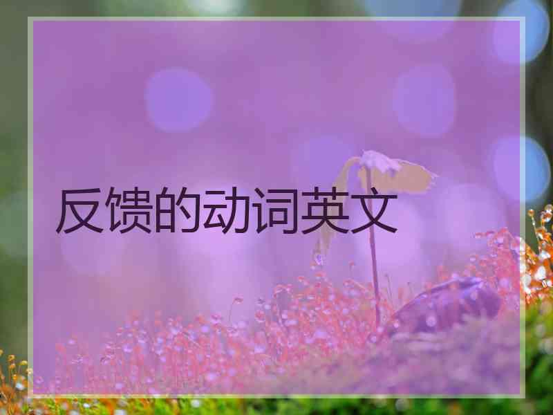 反馈的动词英文