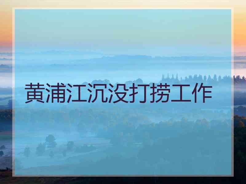 黄浦江沉没打捞工作