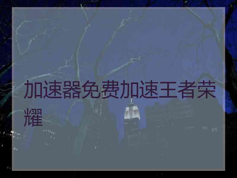 加速器免费加速王者荣耀