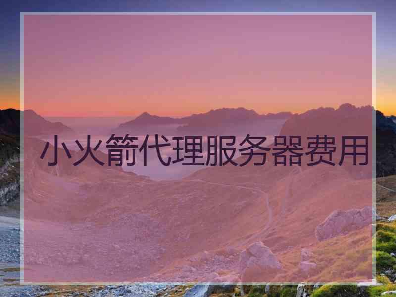 小火箭代理服务器费用