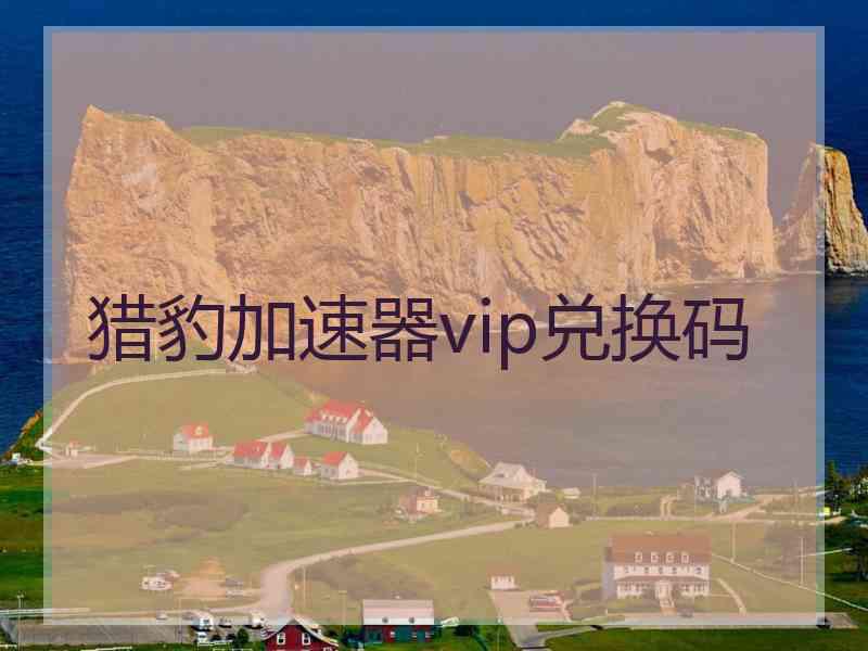 猎豹加速器vip兑换码