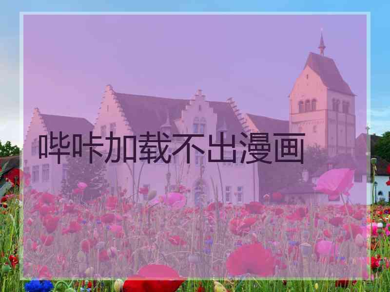 哔咔加载不出漫画