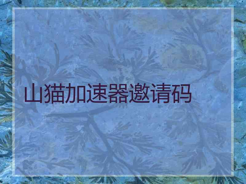山猫加速器邀请码