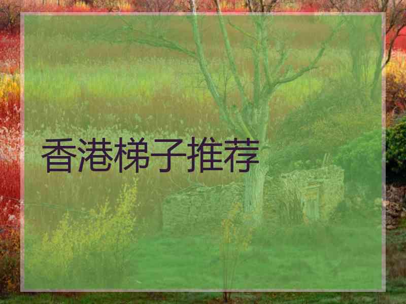 香港梯子推荐