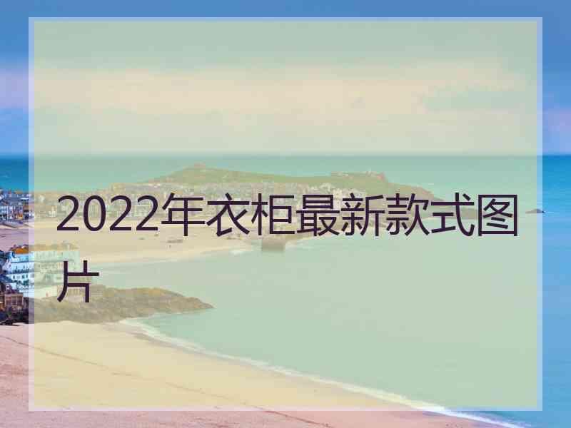 2022年衣柜最新款式图片