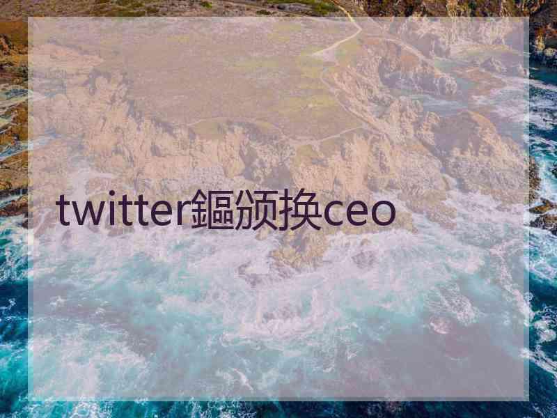 twitter鏂颁换ceo