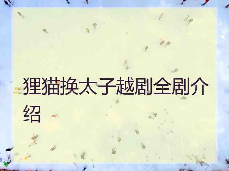 狸猫换太子越剧全剧介绍