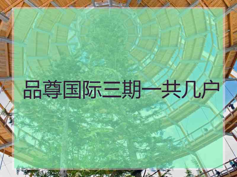 品尊国际三期一共几户