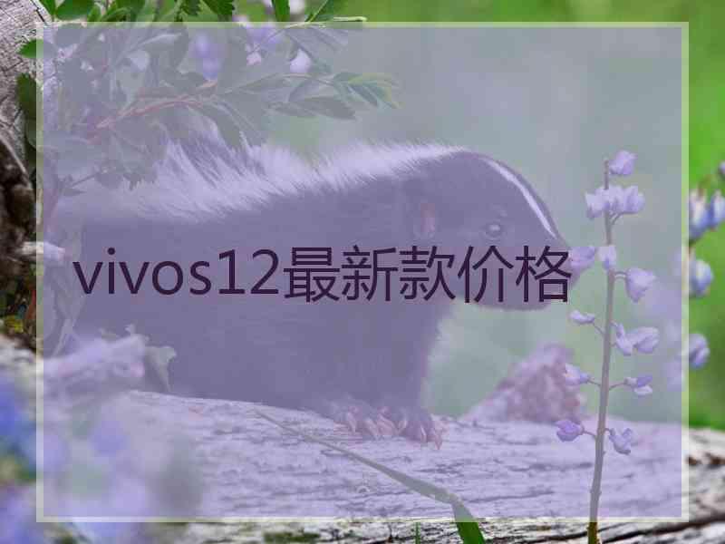 vivos12最新款价格