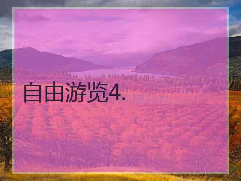 自由游览4.
