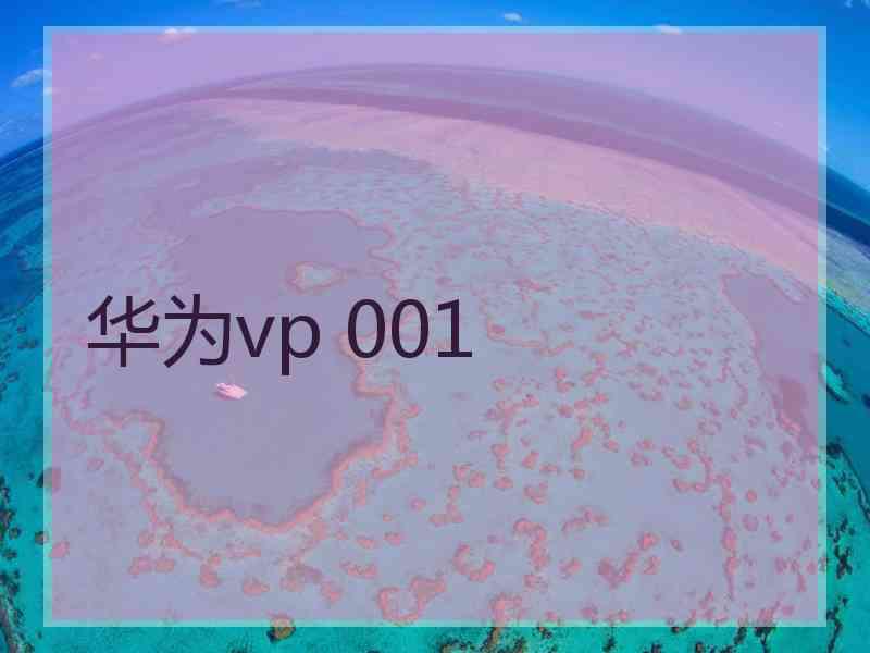 华为vp 001