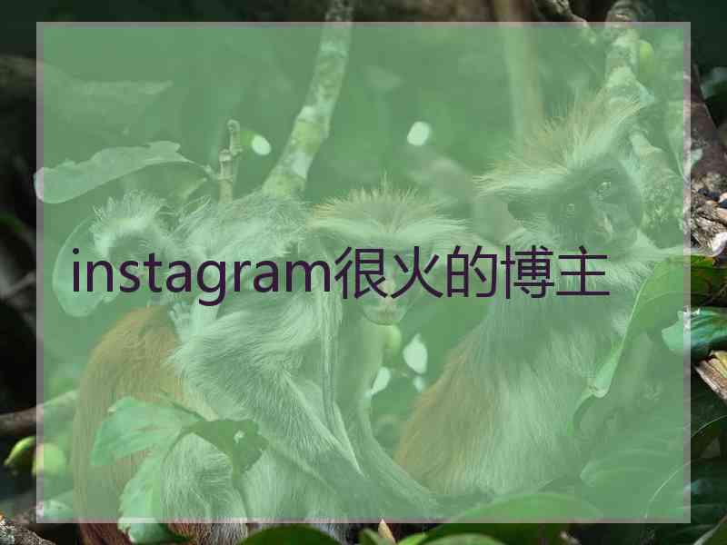 instagram很火的博主