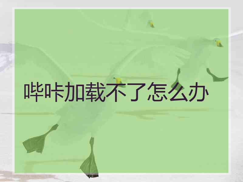 哔咔加载不了怎么办