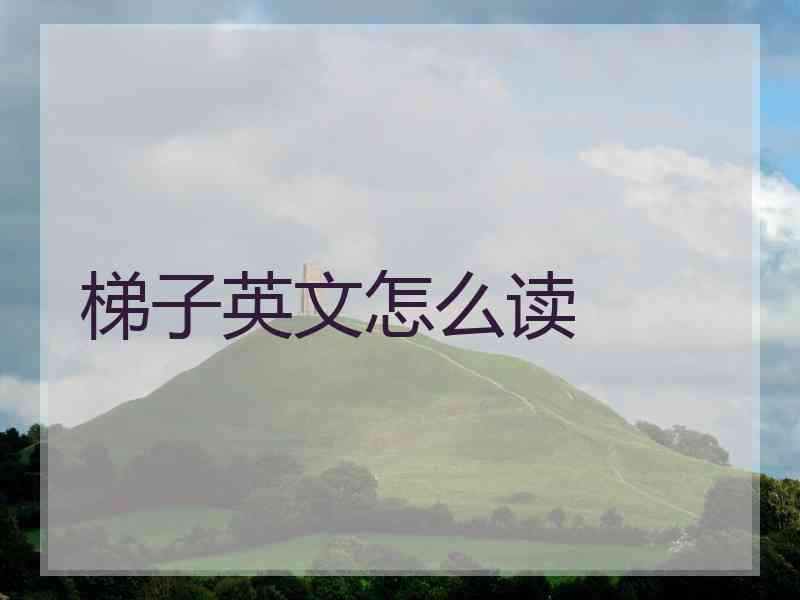 梯子英文怎么读
