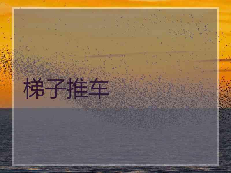 梯子推车