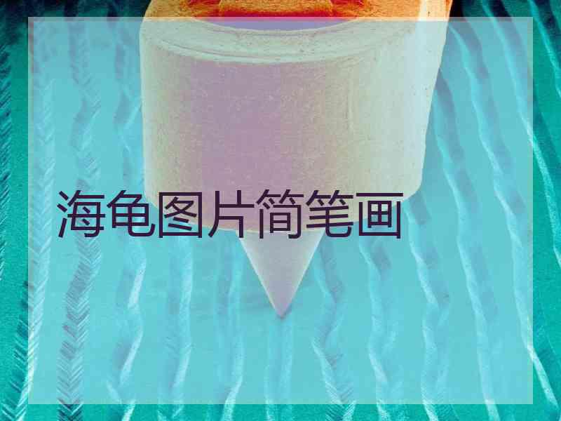海龟图片简笔画