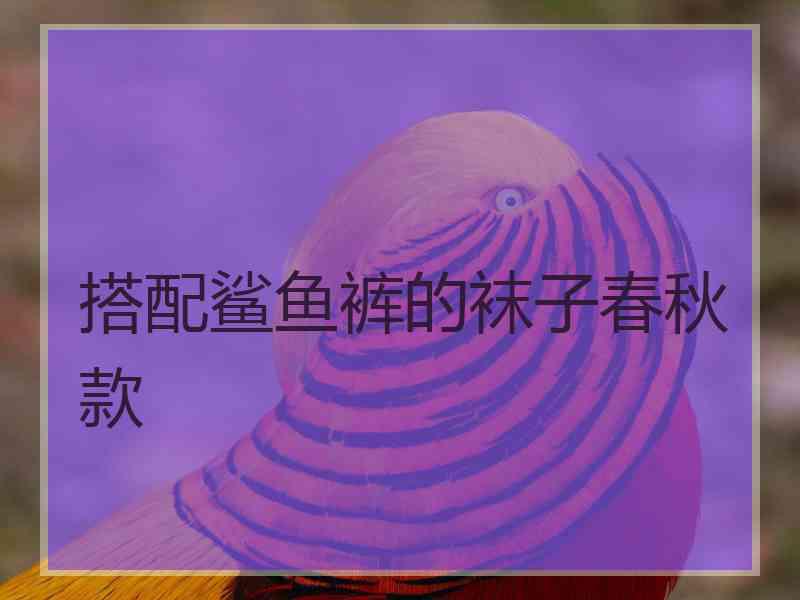 搭配鲨鱼裤的袜子春秋款