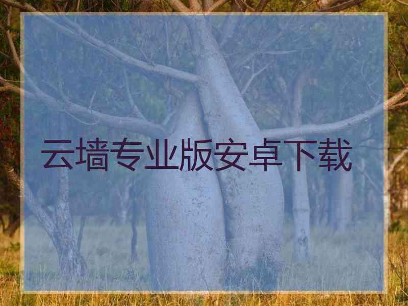 云墙专业版安卓下载