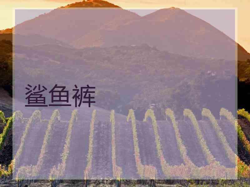 鲨鱼裤