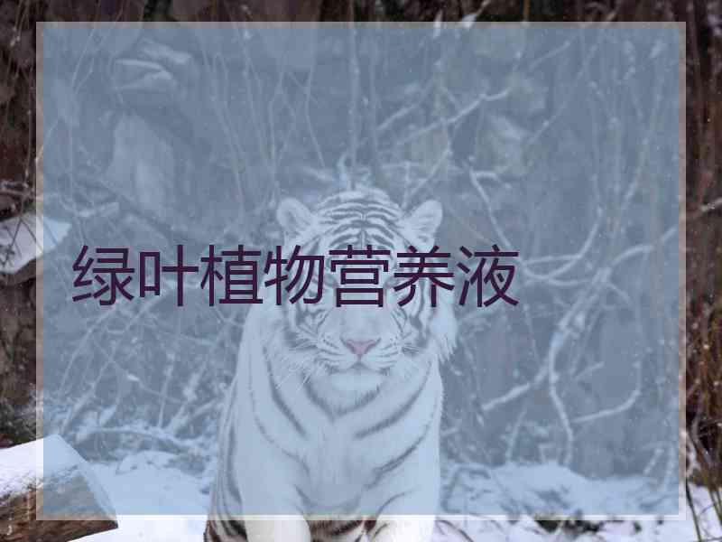 绿叶植物营养液