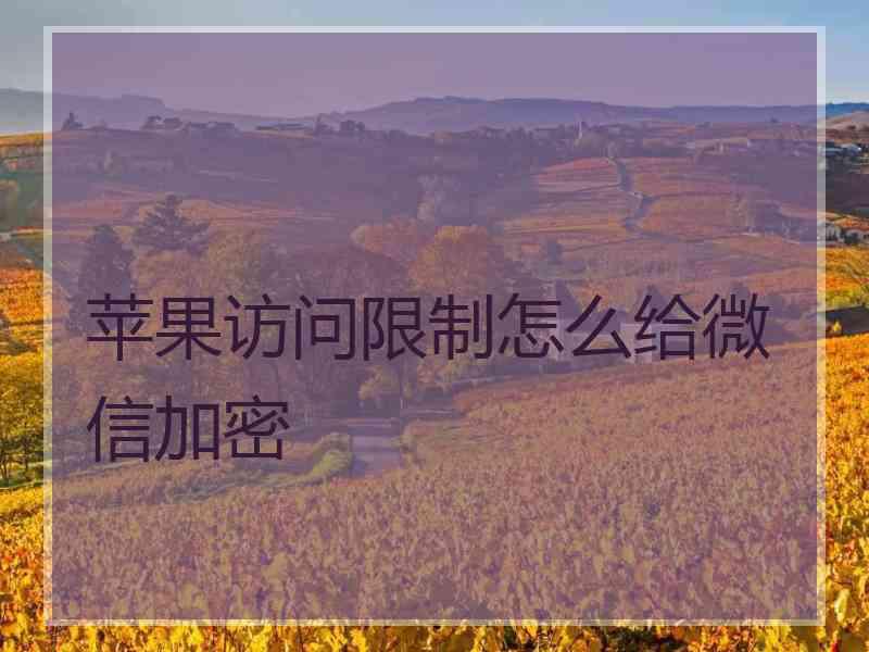 苹果访问限制怎么给微信加密