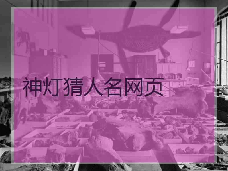 神灯猜人名网页