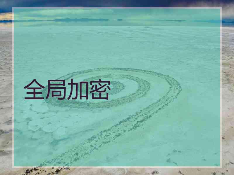 全局加密