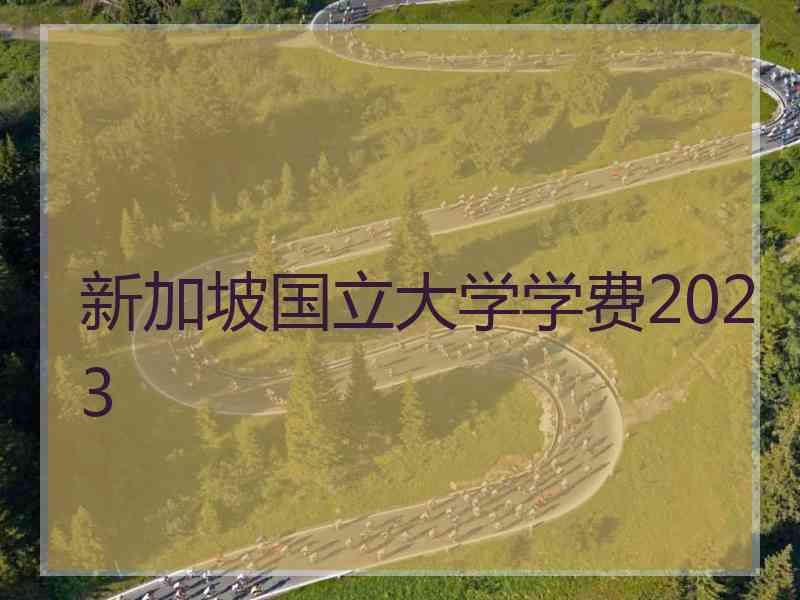 新加坡国立大学学费2023