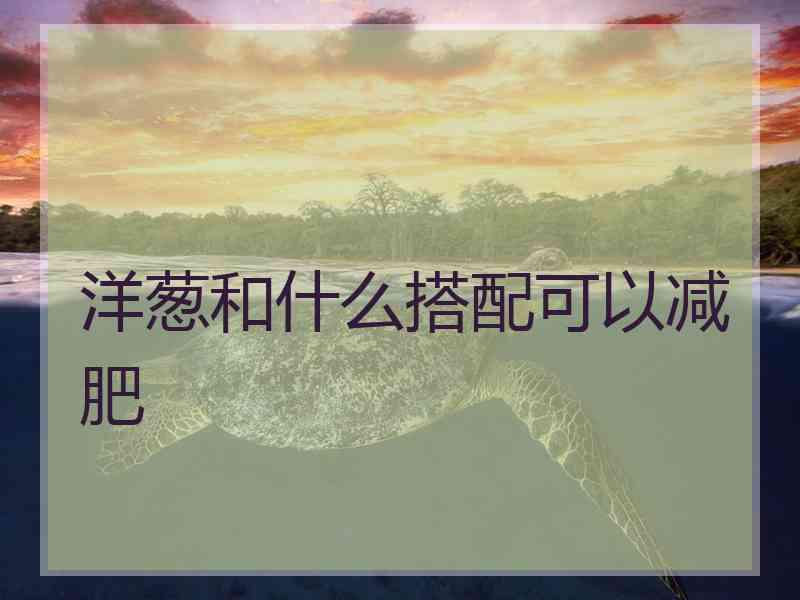 洋葱和什么搭配可以减肥