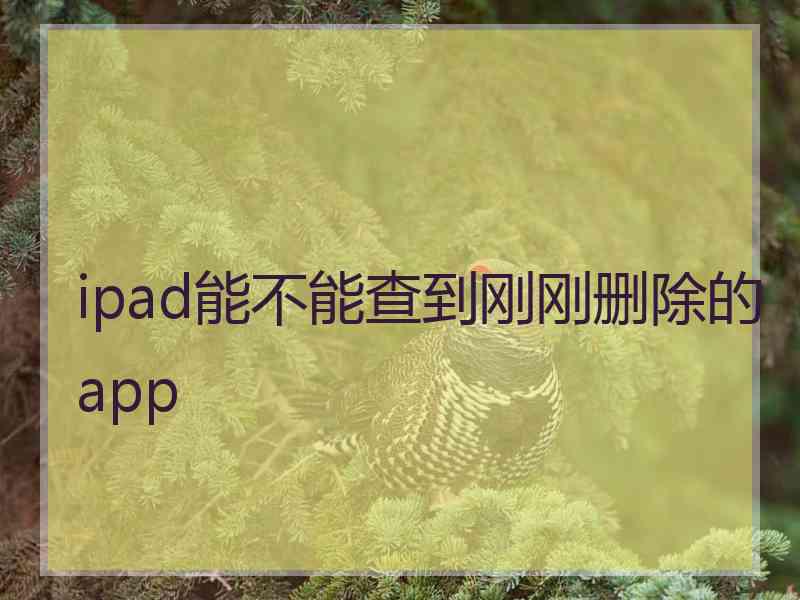 ipad能不能查到刚刚删除的app