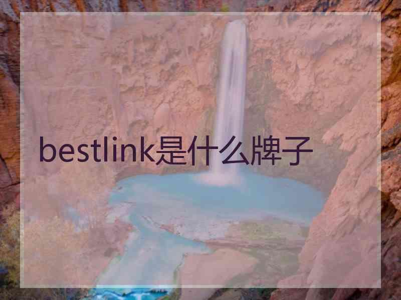 bestlink是什么牌子