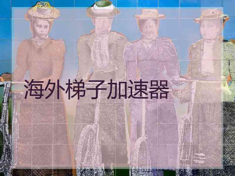 海外梯子加速器