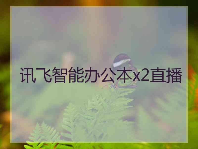 讯飞智能办公本x2直播