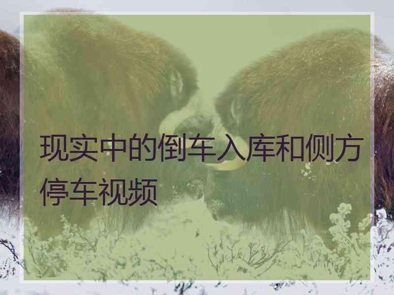 现实中的倒车入库和侧方停车视频