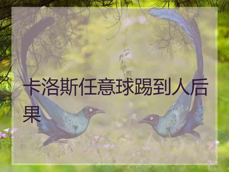 卡洛斯任意球踢到人后果