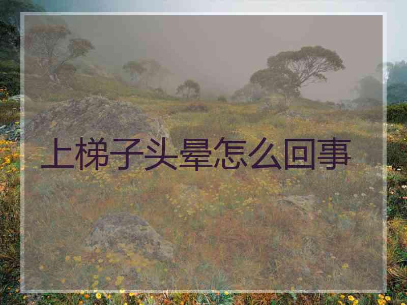 上梯子头晕怎么回事