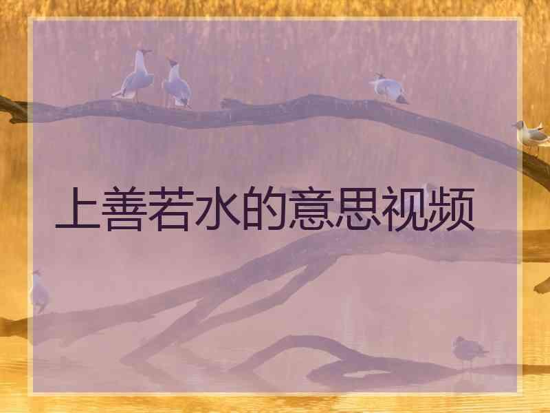 上善若水的意思视频
