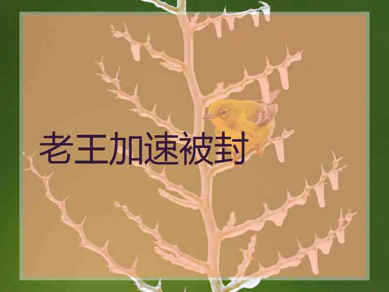 老王加速被封