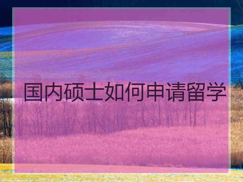 国内硕士如何申请留学