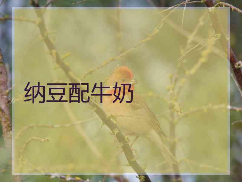 纳豆配牛奶