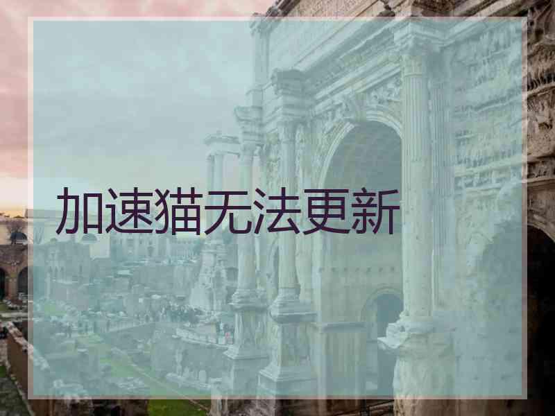加速猫无法更新