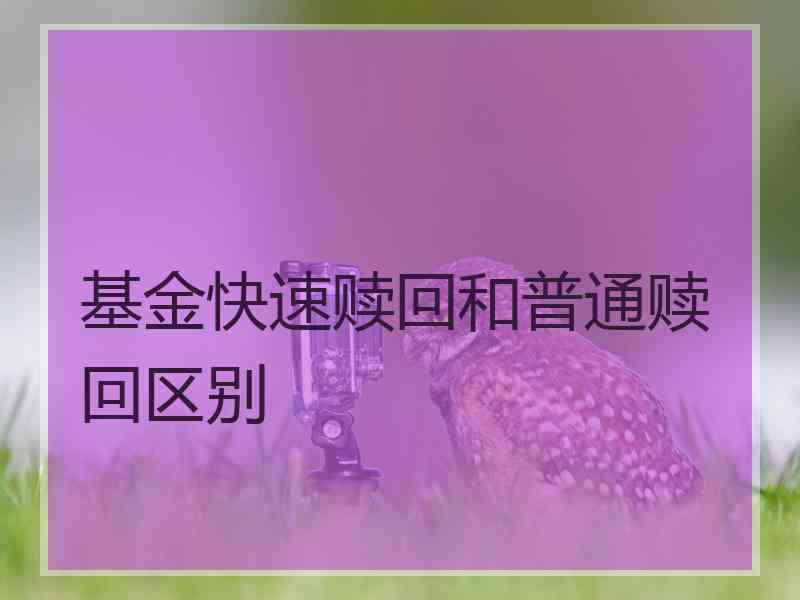 基金快速赎回和普通赎回区别