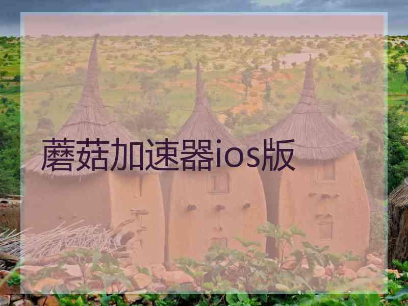 蘑菇加速器ios版