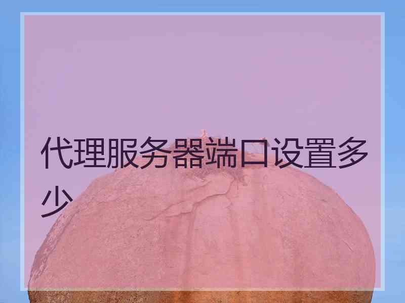 代理服务器端口设置多少