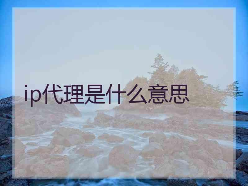 ip代理是什么意思
