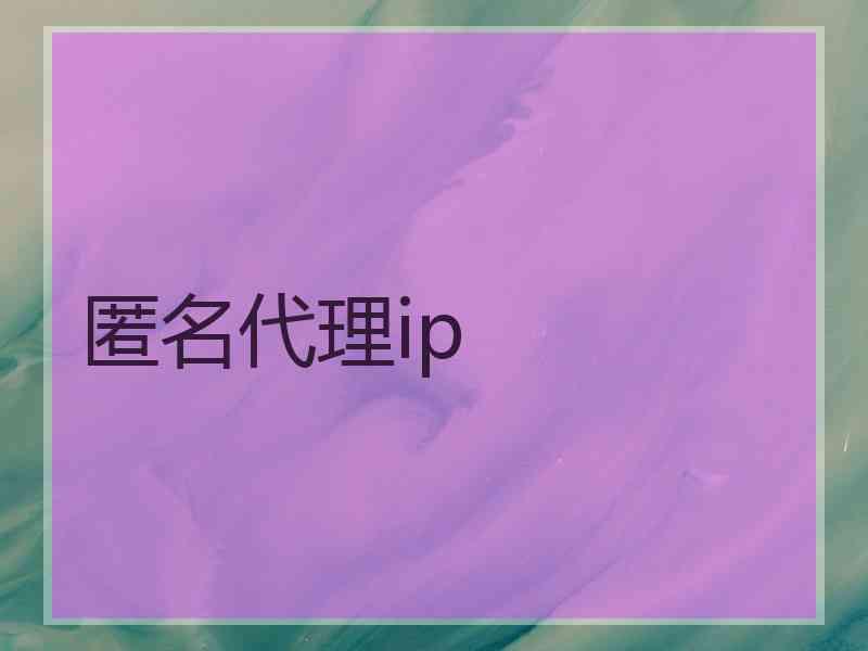 匿名代理ip