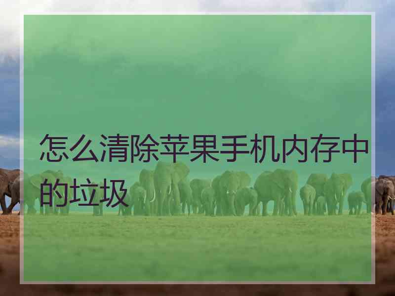 怎么清除苹果手机内存中的垃圾