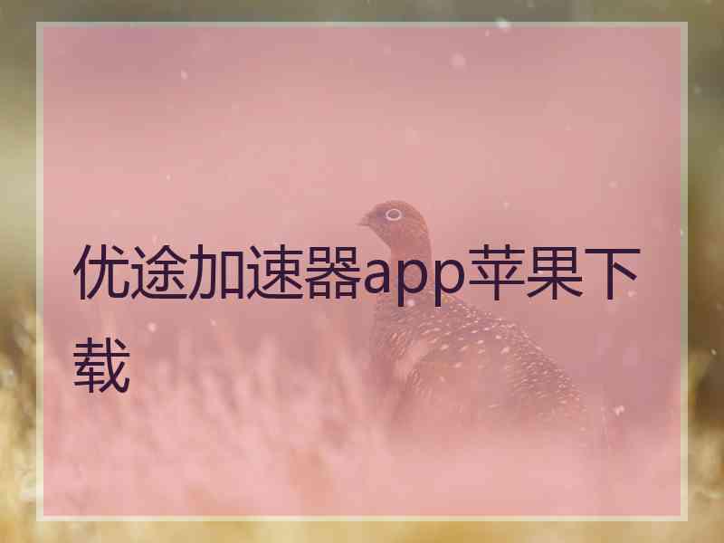 优途加速器app苹果下载