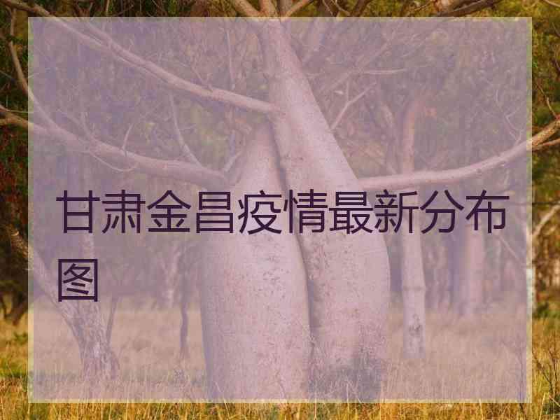 甘肃金昌疫情最新分布图